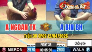 Trận 38 CPC2 12/04/2026 - Xám Đâm Như Máy Khét Nằm Ngay Tại Chỗ