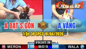 Trận 38 CPC3 18/04/2026 - Bướm Siết Điều Xỉu Sau Vài Chân Giao