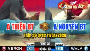 Trận 39 CPC2 11/04/2026 - Xanh Giao Chân Quá Hay Đỏ Hư Hình Hết Cứu