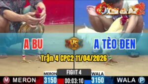 Trận 4 CPC2 11/04/2026 - Úa Đâm Quá Đâm 1 Tay Nước Cú Nằm Một Chỗ