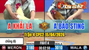 Trận 4 CPC2 15/04/2026 - Bướm Giao Nạp Quá Hay Điều Hư Hình Hết Cứu