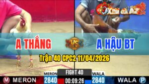 Trận 40 CPC2 11/04/2026 - Điều Phóng Lúng Và Cái Kết Bướm Đá 2 Chân Nằm Tại Chỗ
