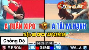 Trận 40 CPC3 14/04/2026 - Đỏ Quá Hay  Chồng Độ 3 Vẫn lụm Lúa