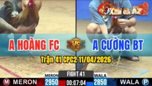 Trận 41 CPC2 11/04/2026 - Xanh Như Máy Buôn Đuôi Đá Đỏ Lìa Chân
