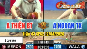 Trận 43 CPC2 12/04/2026 - Khét Chấp Ngông Và Cái Kết Bướm Đá Gãy Cổ