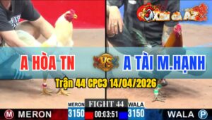 Trận 44 CPC3 14/04/2026 - Điều Đâm Bướm Hư Hình Mà Còn Bị Phản Cay Đắng
