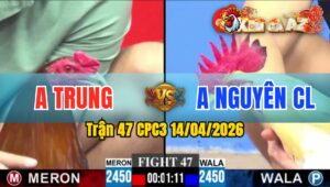 Trận 47 CPC3 14/04/2026 - Phút 90 Bỏ Miệng Hòa Tiền