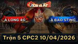 Trận 5 CPC2 10/04/2026 - Idol Quá Đẳng Cấp 2 Tay Nước Long Hưng Hình Tốc Chạy