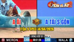 Trận 5 CPC3 14/04/2026 - Chuối Đâm Điều Gãy Chân Hết Đứng