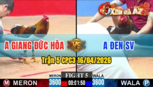 Trận 5 CPC3 16/04/2026 - Ăn Miếng Trả MiếngĐỏ Dứt Điểm Xanh Phút Cuối