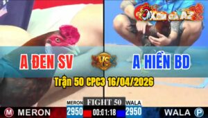 Trận 50 CPC3 16/04/2026 - Điều Xanh Đâm Đỏ kêu Miệng Bỏ Chạy