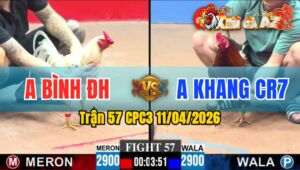Trận 57 CPC3 11/04/2026 - BƯỚM ĐÁ ĐIỀU GÃY CHÂN  HẾT ĐỨNG