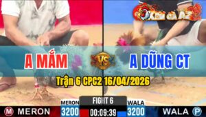 Trận 6 CPC2 16/04/2026 - Cú Quá Dầy Trả Chân Quyết Định Điều Hư Hình Hết Sữa