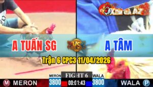 Trận 6 CPC3 11/04/2026 - BƯỚM ĐỨNG K NỔI VỚI KHÉT BÔNG KHI DÍNH CỰA LIÊN TỤC