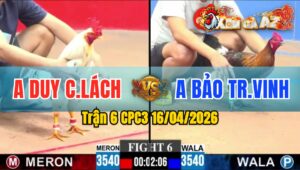 Trận 6 CPC3 16/04/2026 - Điều Đâm Quá Đâm  Bướm Bay Bồ Bỏ Chạy