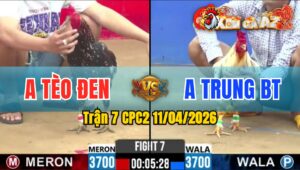 Trận 7 CPC2 11/04/2026 - Bông Phóng Ăn 1 Bướm Trả Chân Chói Biện Đi Xa