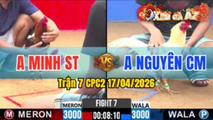 Trận 7 CPC2 17/04/2026 - Hai Con Quá Lực Hòa Đầy Kịch Tích