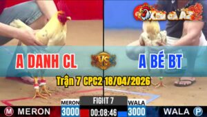 Trận 7 CPC2 18/04/2026 - Bướm Đá Chân Quá Tịch Cú Lìa Chân Hết Đứng