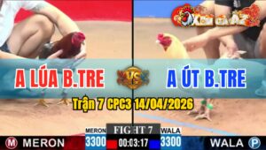 Trận 7 CPC3 14/04/2026 - Ăn Miếng Trả Miếng Bướm Đâm Điều Gãy Chân Hết Đứng