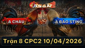 Trận 8 CPC2 10/04/2026 - Điều Mót Chân Úa Xỉu Phản Tang 5 Lai