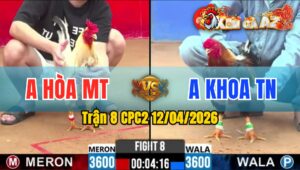 Trận 8 CPC2 12/04/2026 - Bướm Đâm Mu Lưng Điều Bưng Ra Ngoài