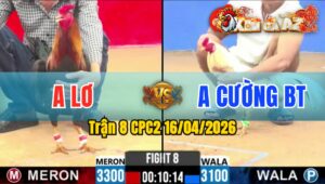 Trận 8 CPC2 16/04/2026 - Bướm Quá Tốc Độ Buôn Ra Điều Nằm Sau 1 Tay Nước