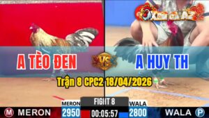 Trận 8 CPC2 18/04/2026 - Cú Quá Dẽo Nuốt Ói Thủ Hòa Quá Hay Phút 90