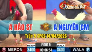 Trận 9 CPC2 14/04/2026 - Điều Buôn Đuôi Bưng Úa Ra Ngoài Mau Lẹ Chỉ 1 Tay Nước