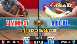 Trận 9 CPC2 15/04/2026 - Xanh Đó Bo Quá Lớn Điều Quay Đầu Bỏ Chạy