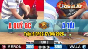 Trận 9 CPC2 17/04/2026 - Xanh Giao Nạp Quá Hay Đỏ Nằm Ngay 1 Chỗ