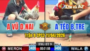Trận 9 CPC3 11/04/2026 - QUE XANH TẢI CỰA QUÁ DỮ  CÚ VỀ CUỐI TÉ HẾT CHÂN ĐỨNG