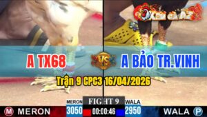 Trận 9 CPC3 16/04/2026 - Bướm Đâm Như Máy Điều Hư Hình Bưng Ra